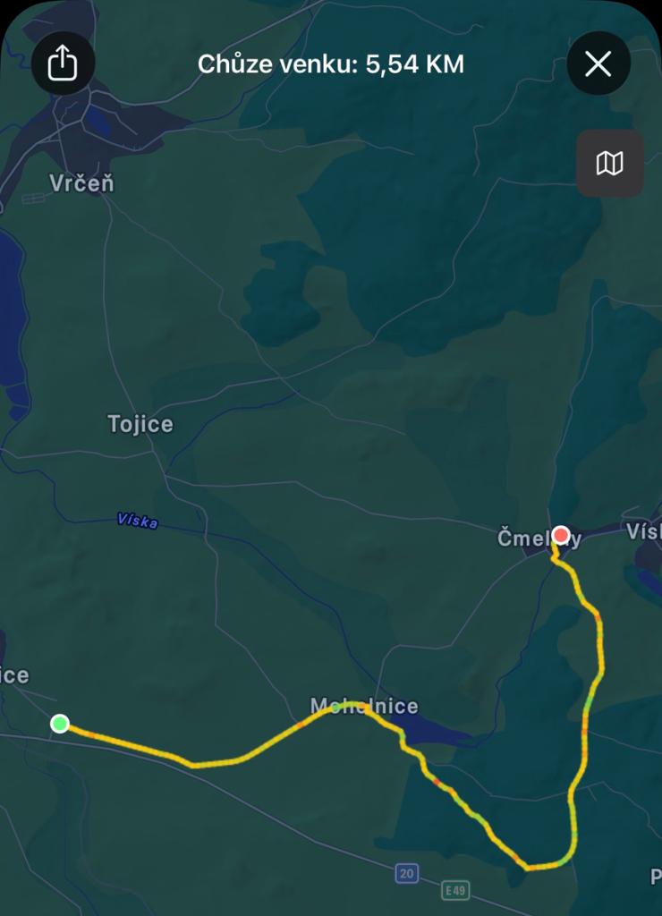 Novoroční pochod 2026