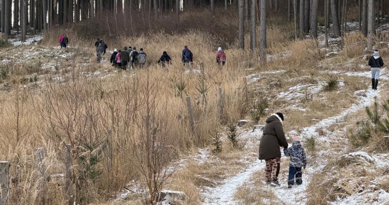 Novoroční pochod 2026