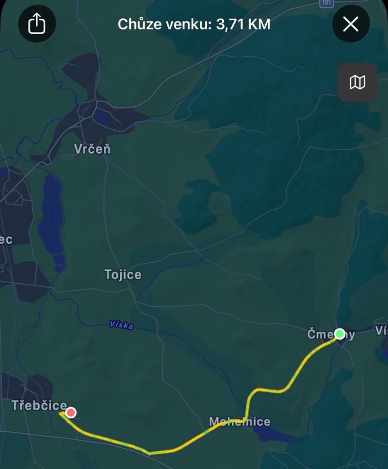 Novoroční pochod 2026